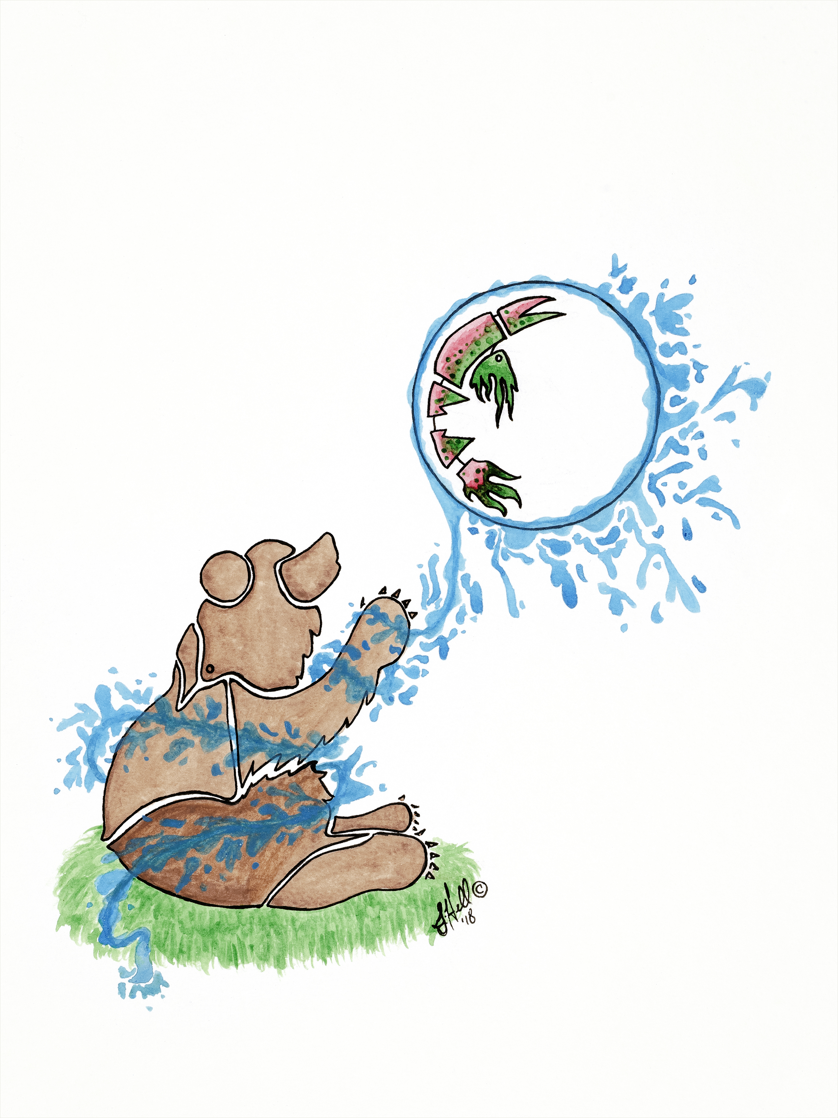 The Bear and the Salmon