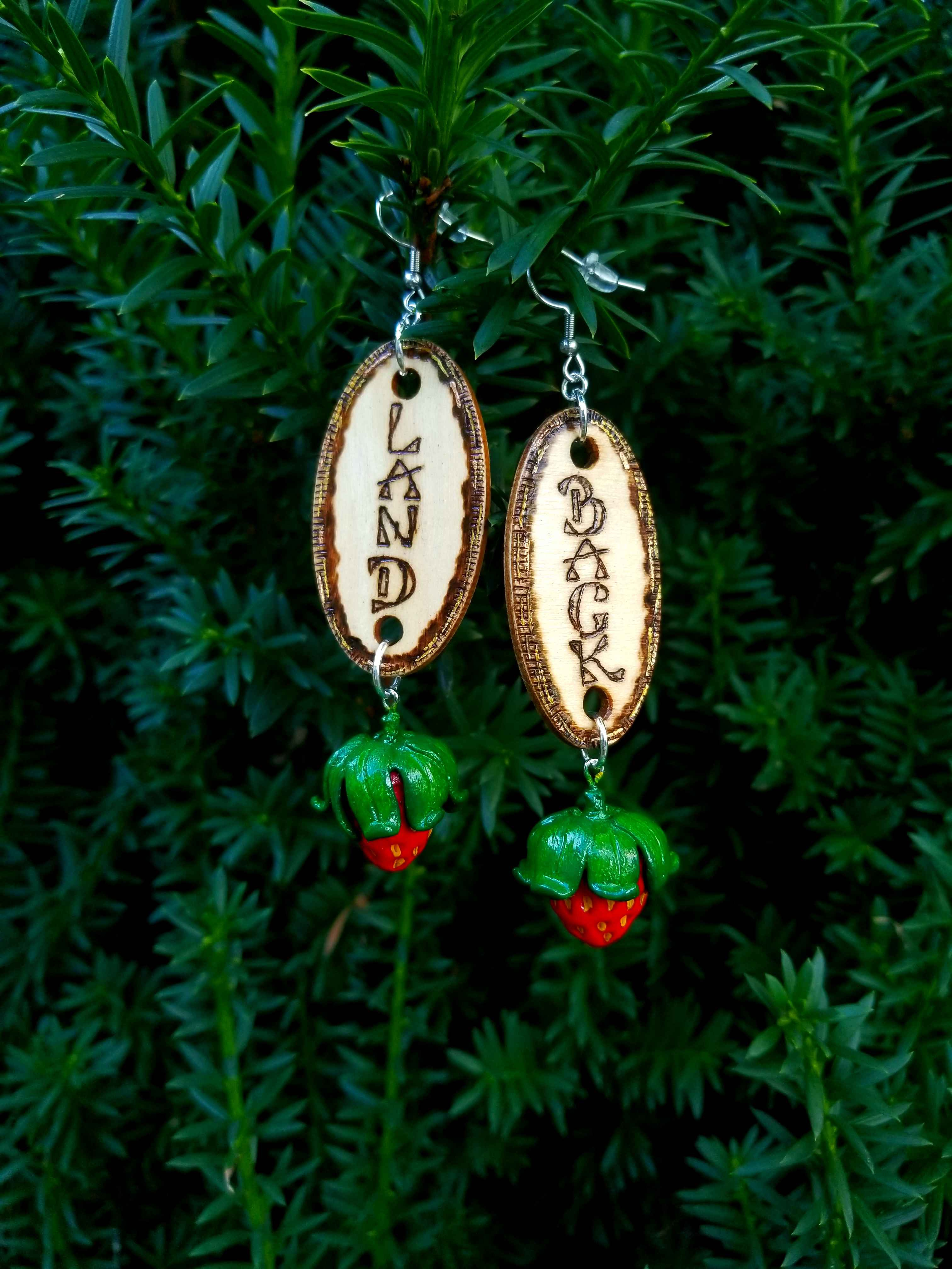Land Back Earrings