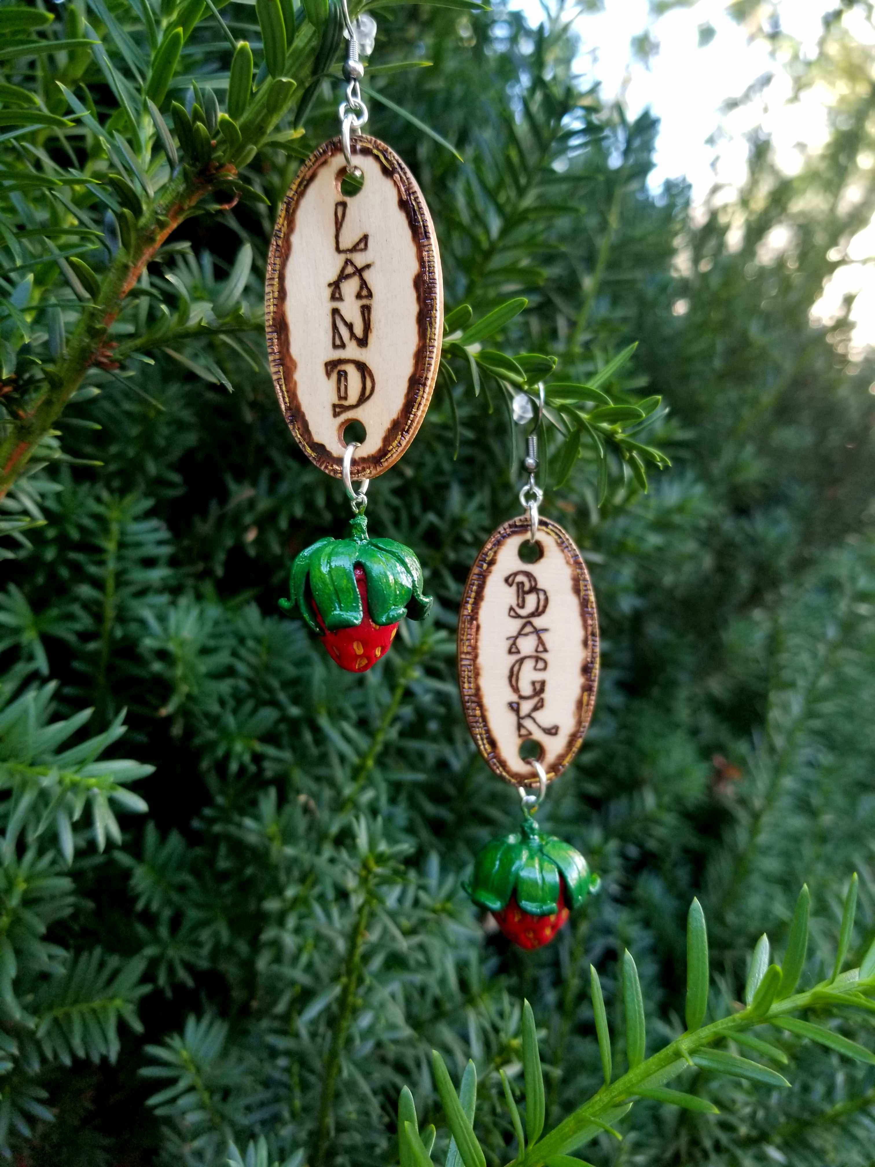Land Back Earrings 2